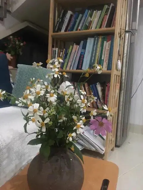Lu Peaceful Homestay Da Nang