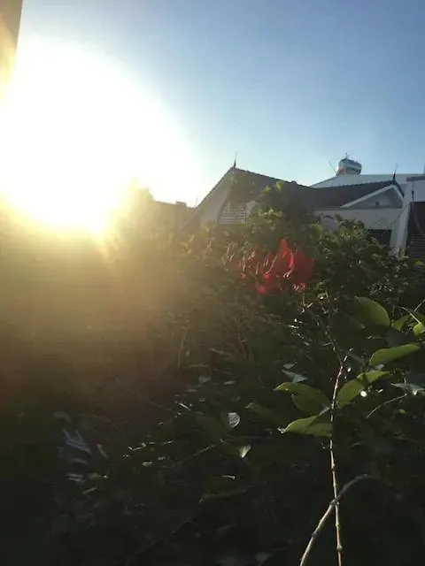 Lu Peaceful Homestay ダナン市 0*,  ベトナム