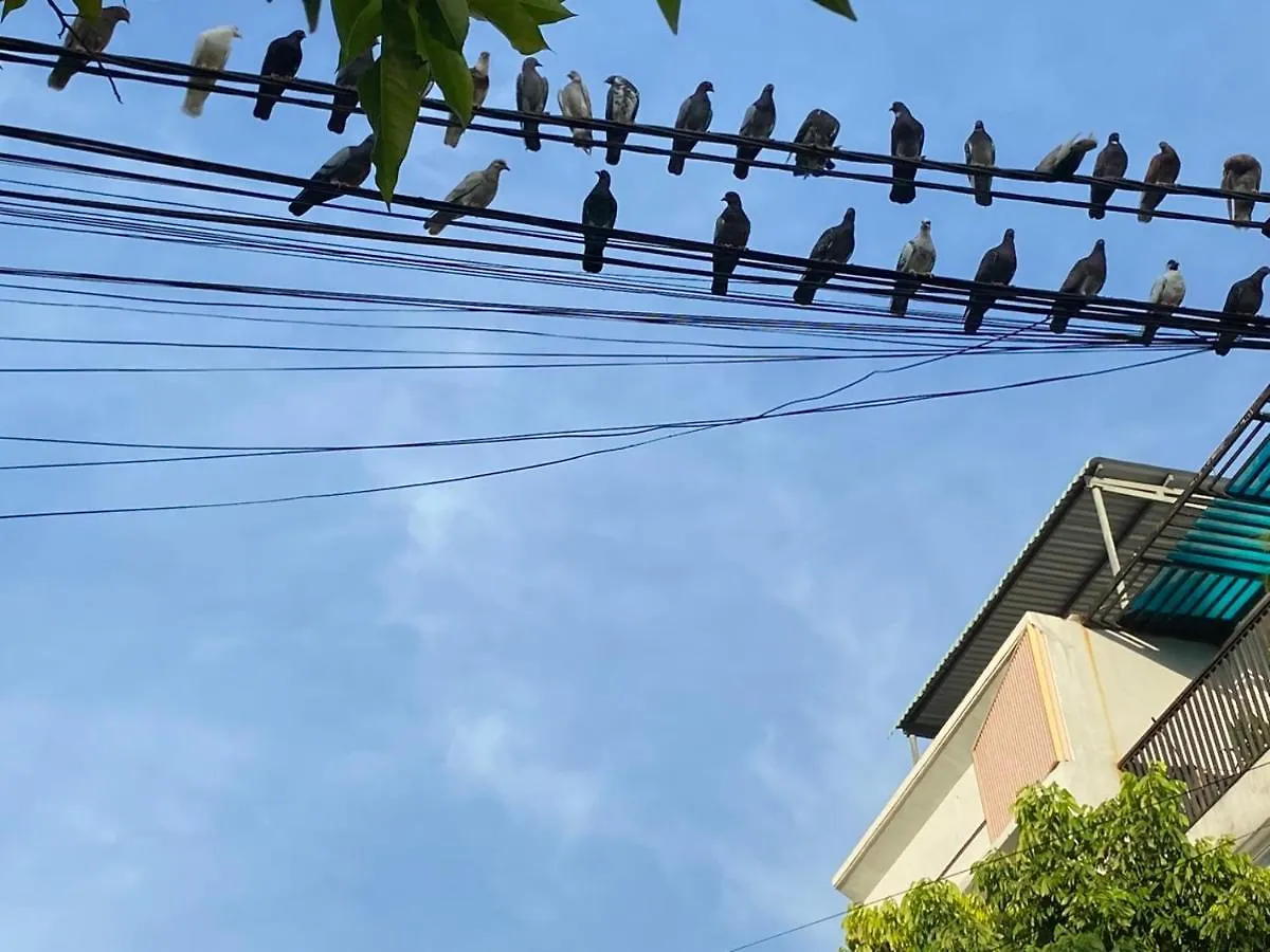 Lu Peaceful Homestay Da Nang